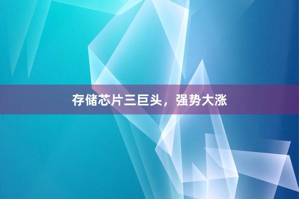 存储芯片三巨头，强势大涨