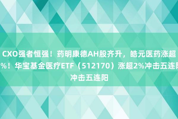 CXO强者恒强！药明康德AH股齐升，皓元医药涨超8%！华宝基金医疗ETF（512170）涨超2%冲击五连阳