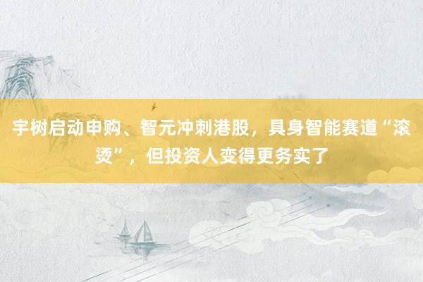 宇树启动申购、智元冲刺港股，具身智能赛道“滚烫”，但投资人变得更务实了