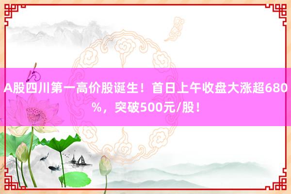 A股四川第一高价股诞生！首日上午收盘大涨超680%，突破500元/股！