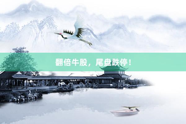 翻倍牛股，尾盘跌停！
