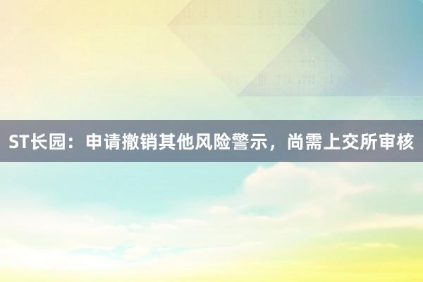 ST长园：申请撤销其他风险警示，尚需上交所审核