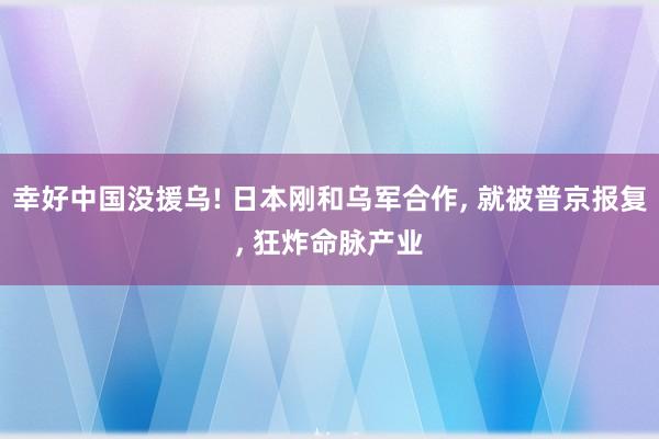 幸好中国没援乌! 日本刚和乌军合作, 就被普京报复, 狂炸命脉产业