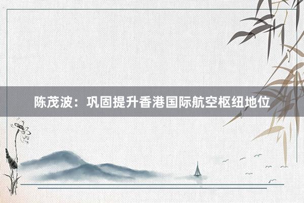陈茂波:巩固提升香港国际航空枢纽地位