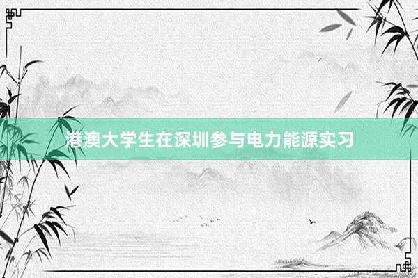 港澳大学生在深圳参与电力能源实习