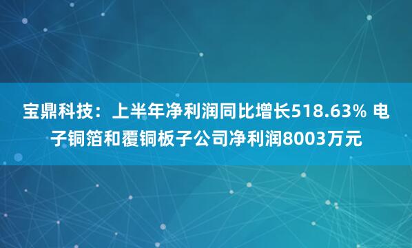 宝鼎科技：上半年净利润同比增长518.63% 电子铜箔和覆铜板子公司净利润8003万元