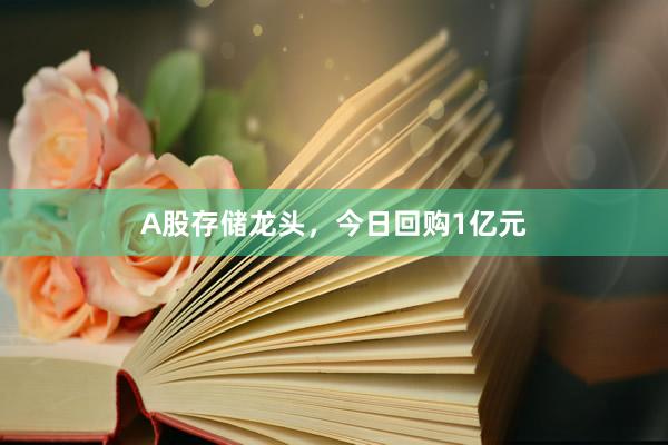 A股存储龙头，今日回购1亿元