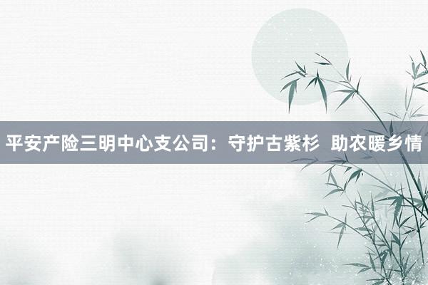平安产险三明中心支公司：守护古紫杉  助农暖乡情