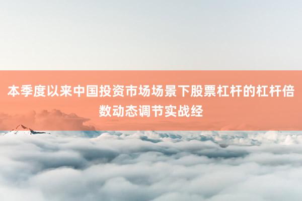 本季度以来中国投资市场场景下股票杠杆的杠杆倍数动态调节实战经