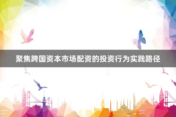 聚焦跨国资本市场配资的投资行为实践路径