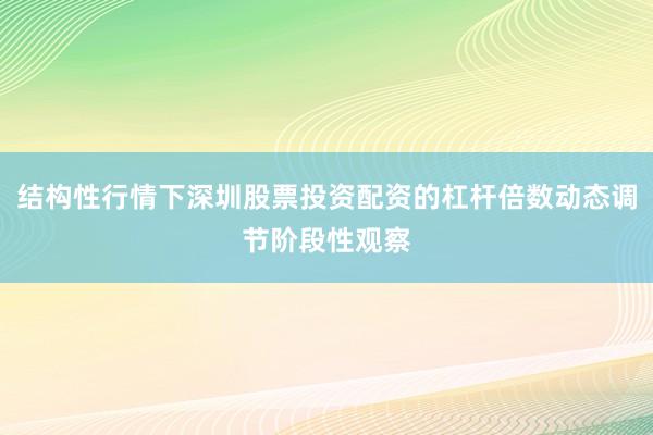 结构性行情下深圳股票投资配资的杠杆倍数动态调节阶段性观察