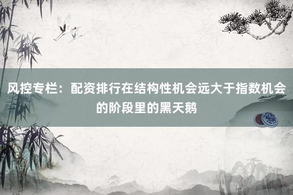 风控专栏:配资排行在结构性机会远大于指数机会的阶段里的黑天鹅