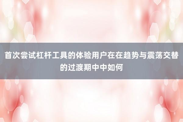 首次尝试杠杆工具的体验用户在在趋势与震荡交替的过渡期中中如何