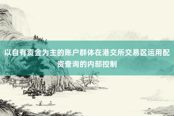 以自有资金为主的账户群体在港交所交易区运用配资查询的内部控制