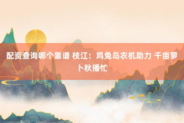 配资查询哪个靠谱 枝江:鸡兔岛农机助力 千亩萝卜秋播忙