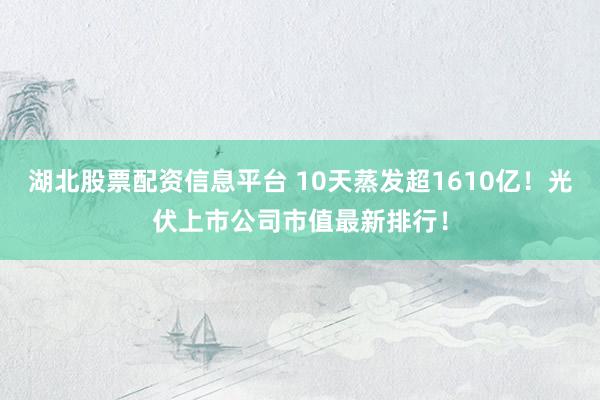 湖北股票配资信息平台 10天蒸发超1610亿!光伏上市公司市值最新排行!