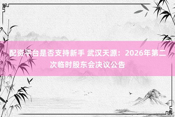 配资平台是否支持新手 武汉天源：2026年第二次临时股东会决议公告