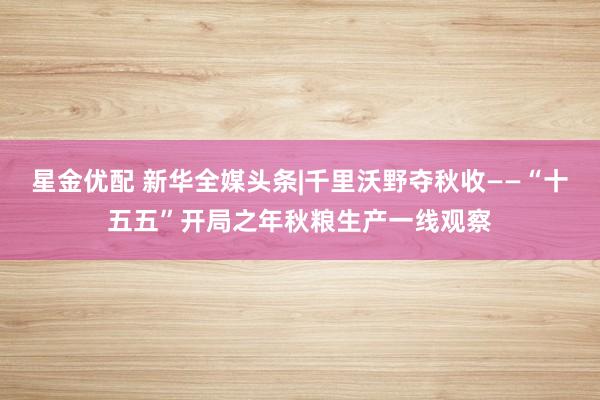 星金优配 新华全媒头条|千里沃野夺秋收——“十五五”开局之年秋粮生产一线观察