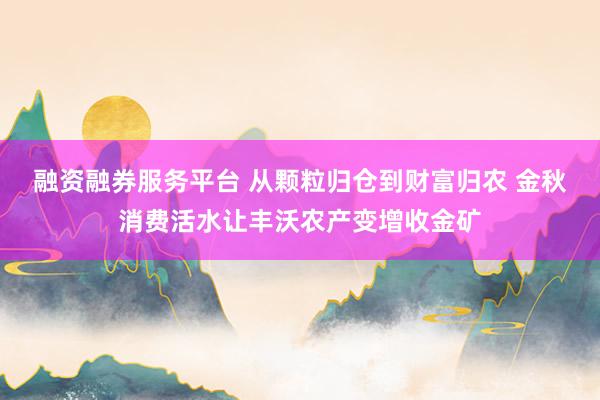 融资融券服务平台 从颗粒归仓到财富归农 金秋消费活水让丰沃农产变增收金矿