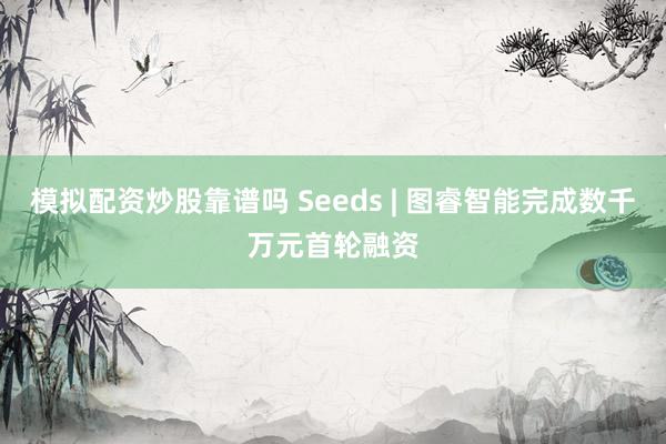 模拟配资炒股靠谱吗 Seeds | 图睿智能完成数千万元首轮融资