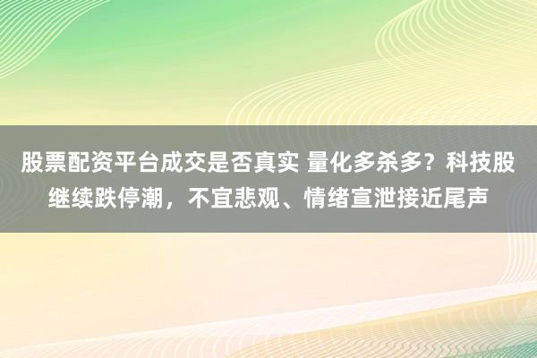 股票配资平台成交是否真实 量化多杀多？科技股继续跌停潮，不宜悲观、情绪宣泄接近尾声
