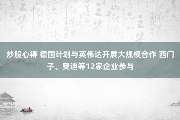 炒股心得 德国计划与英伟达开展大规模合作 西门子、奥迪等12家企业参与