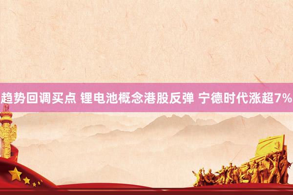 趋势回调买点 锂电池概念港股反弹 宁德时代涨超7%
