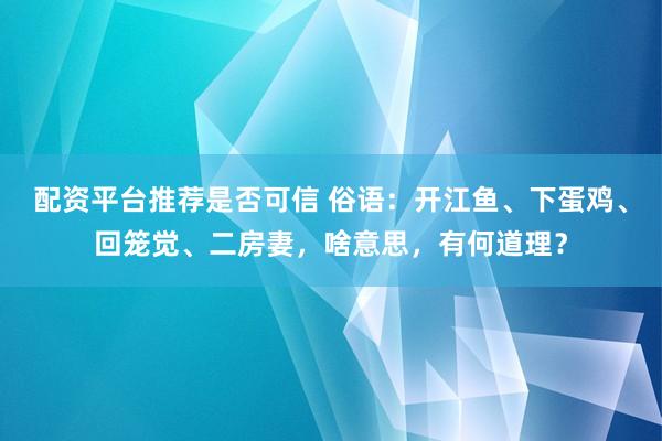 配资平台推荐是否可信 俗语：开江鱼、下蛋鸡、回笼觉、二房妻，啥意思，有何道理？