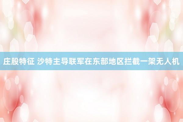 庄股特征 沙特主导联军在东部地区拦截一架无人机